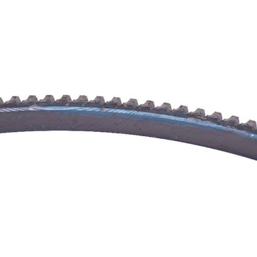 159T Flywheel Ring Gear 3901774 fits Cummins Engine 4B3.9 6B5.9 ISB5.9 ISBE QSB3.9 QSB5.9 6BT5.9
