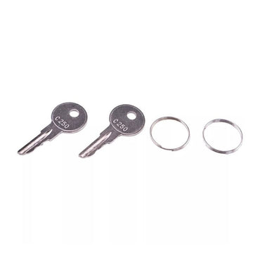 2 Pieces C250 Ignition Key 170151-001 089216-001 fits Crown Forklift Wave GPW PE3000 PE4000 PE4500 WP3000