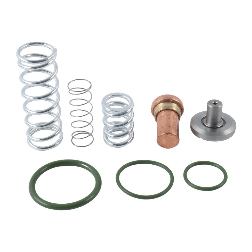 Thermostat Valve Maintenance Kit 2901187200 fits Atlas Copco Air Compressor