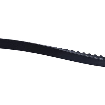V Belt 70400138 01154351 suitable for Deutz Egnine JLG D2.9 L4 TCD 2.9 L4 TCD 2.2 L3 JLG Lift