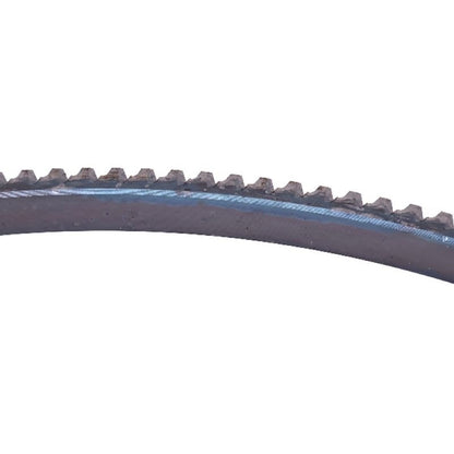 159T Flywheel Ring Gear 3901774 fits Cummins Engine 4B3.9 6B5.9 ISB5.9 ISBE QSB3.9 QSB5.9 6BT5.9