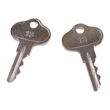 2 Pcs Ignition Keys 089070 fits Gehl Forklift 552 553 663 883 1083