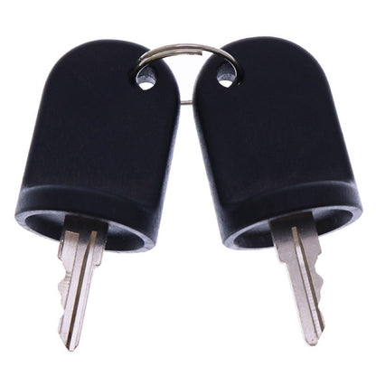 2 PCS Ignition Switch Keys 611282 605946 606993 compatible with EZGO Gas & Electric RXV Vehicles