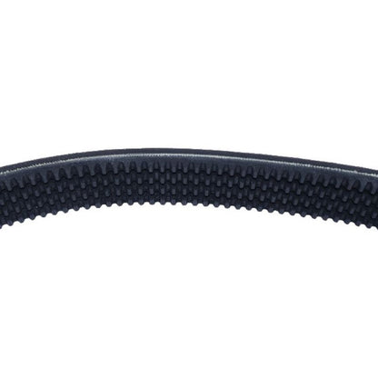 4 Banded Cogged V Belt 180007296 142468001 fits Vermeer SC252 Stump Grinder With 25HP Kohler Engine