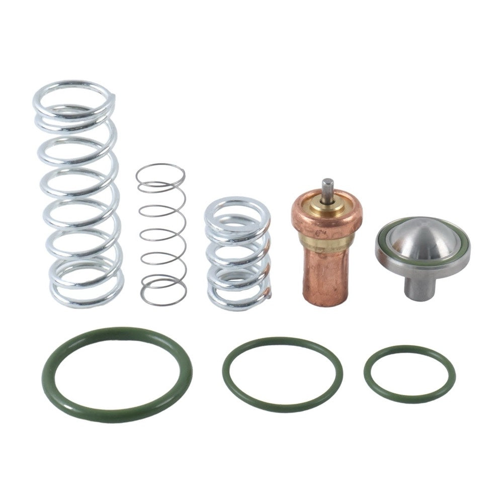 Thermostat Valve Maintenance Kit 2901187200 fits Atlas Copco Air Compressor