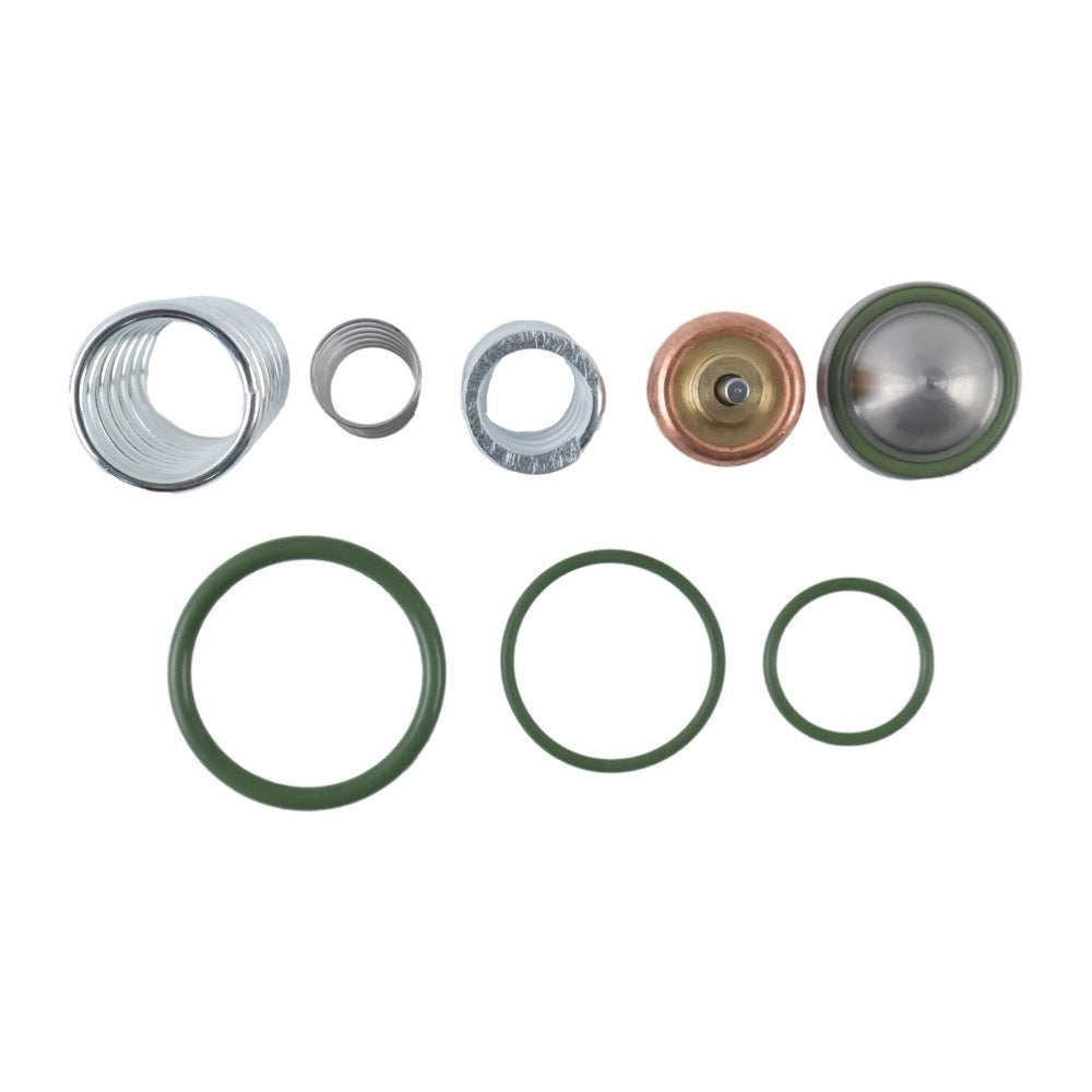 Thermostat Valve Maintenance Kit 2901187200 fits Atlas Copco Air Compressor