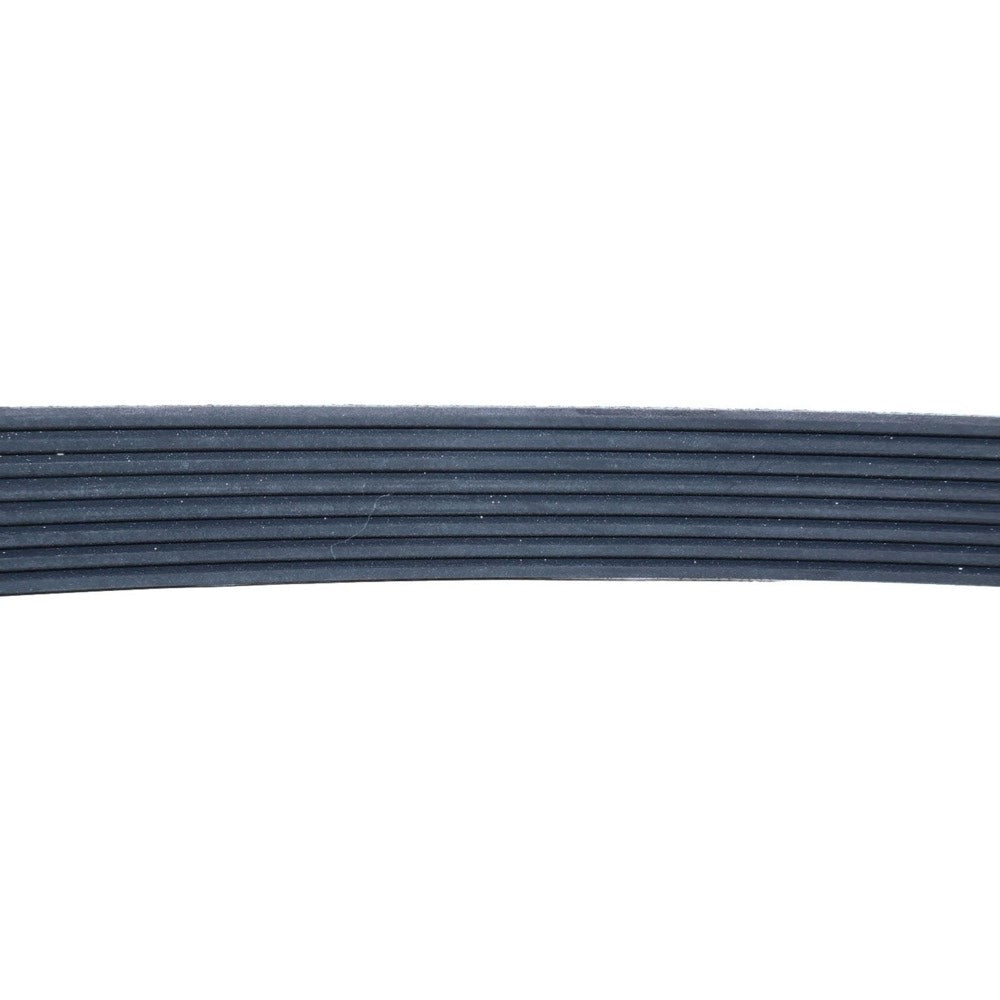V Ribbed Belt 3288724 fits Cummins Engine 4B3.9 6B5.9 6C8.3 B4.5 B5.9 G G5.9 ISB ISBE ISM QSM11