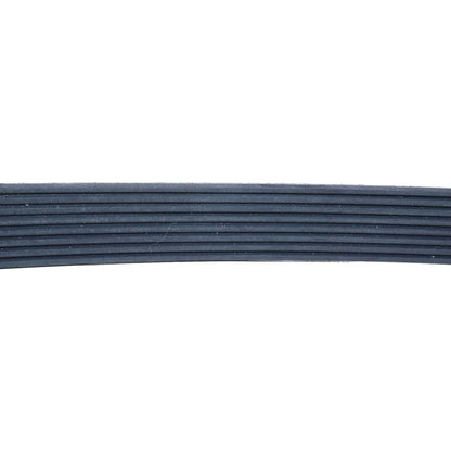 V Ribbed Belt 3288724 fits Cummins Engine 4B3.9 6B5.9 6C8.3 B4.5 B5.9 G G5.9 ISB ISBE ISM QSM11