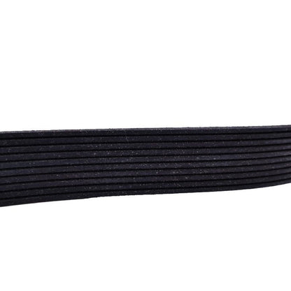 V-Ribbed Belt 01183376 01181612 for use with Deutz Engine TCD2012 BFM2012C BF4M2012C 6M2012C