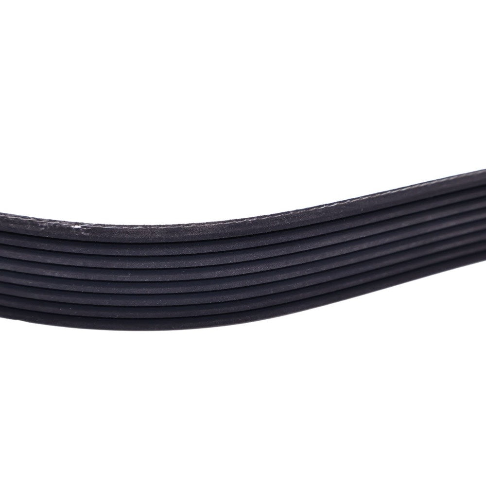 V-Ribbed Belt 8PK1570 982570 fits Volvo Engine D9 D11 Truck FM II FM III FMX II FMX III