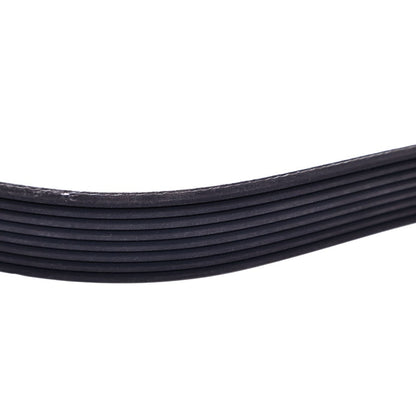 V-Ribbed Belt 8PK1570 982570 fits Volvo Engine D9 D11 Truck FM II FM III FMX II FMX III